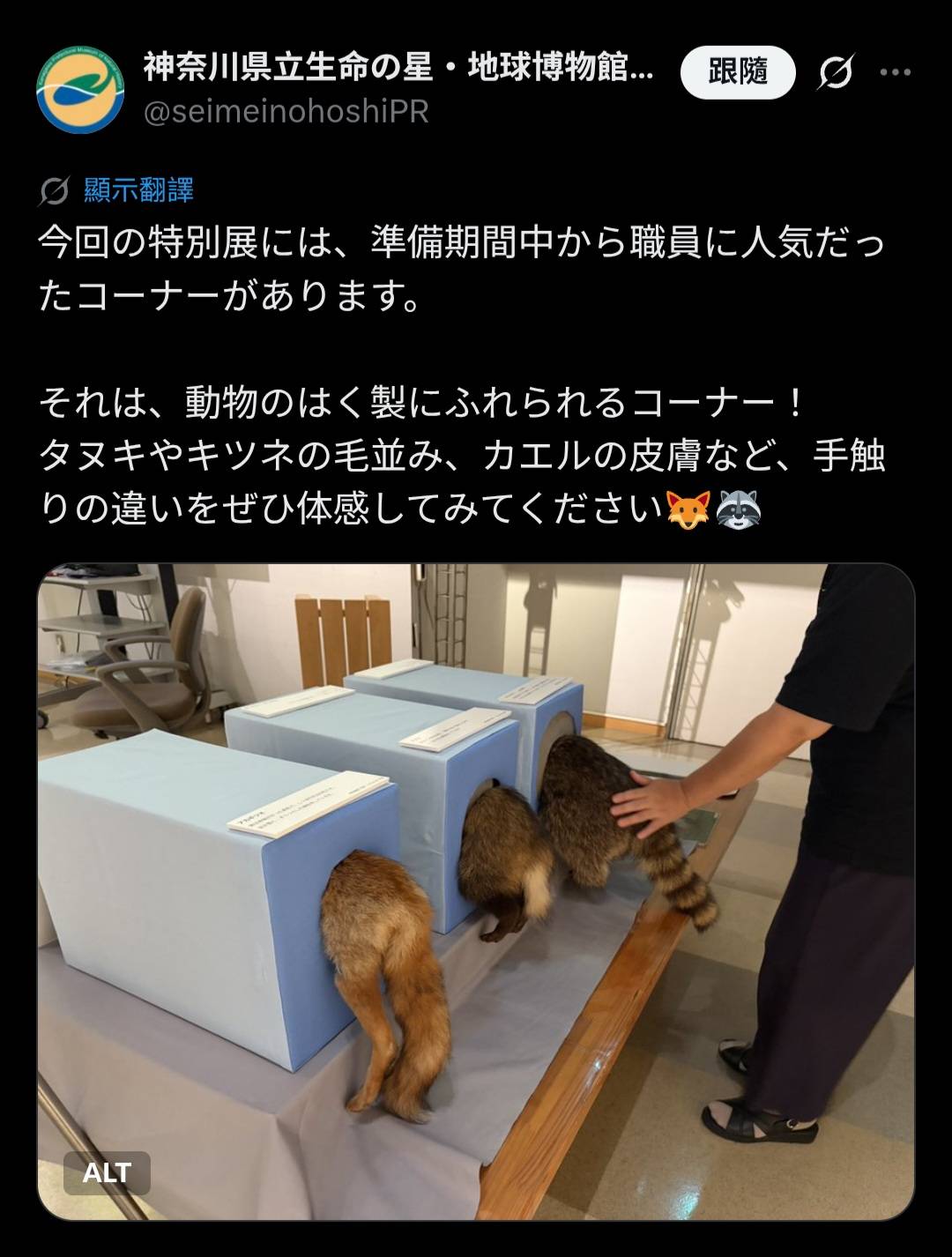 [閒聊] 「動物展覽會這次有提供可觸摸標本喔」