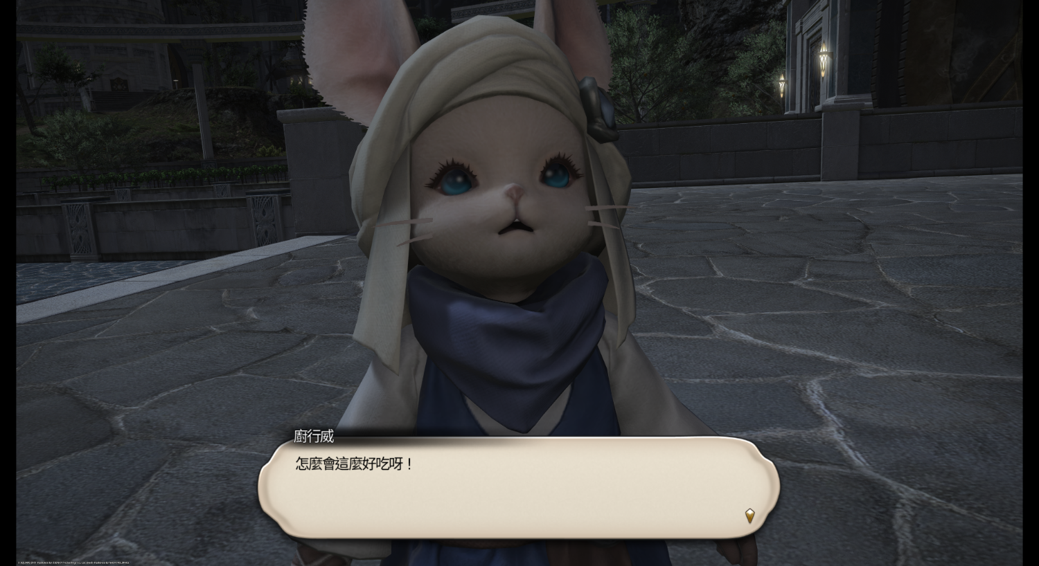 [閒聊] FF14 繁中 7.11更新筆記 NPC名字變更
