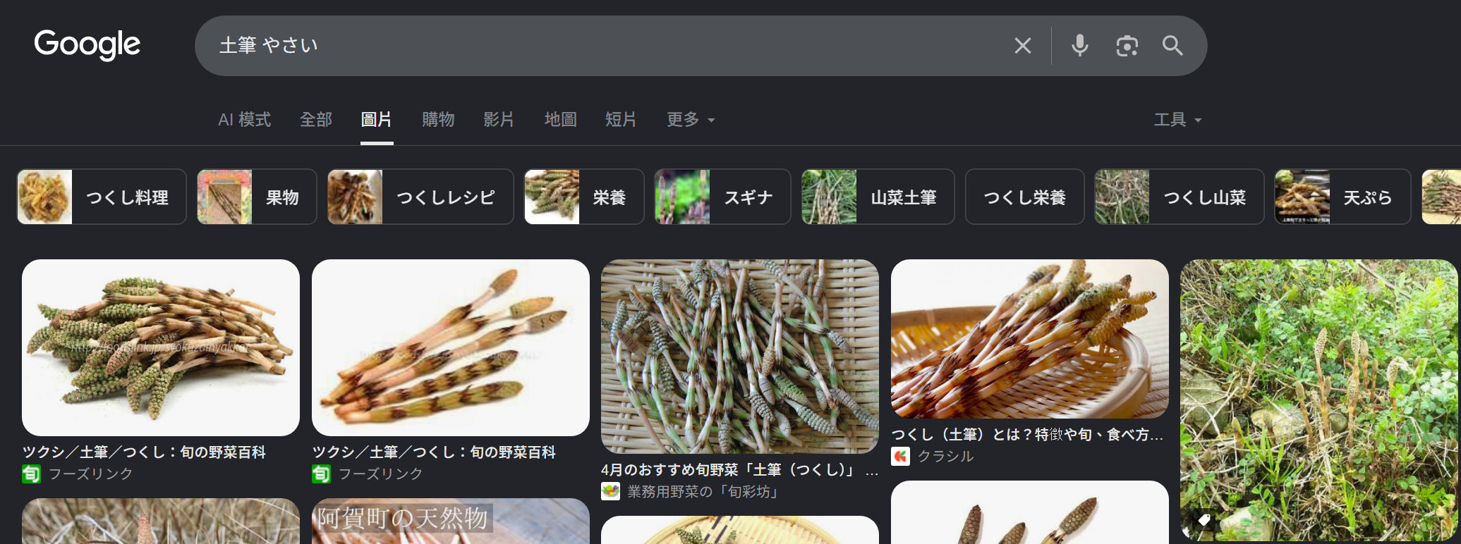 [閒聊] 尼古喵喵03 房東人太好了吧