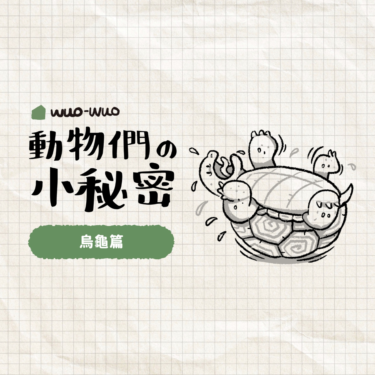 [閒聊] 世界烏龜日 來看點烏龜小知識