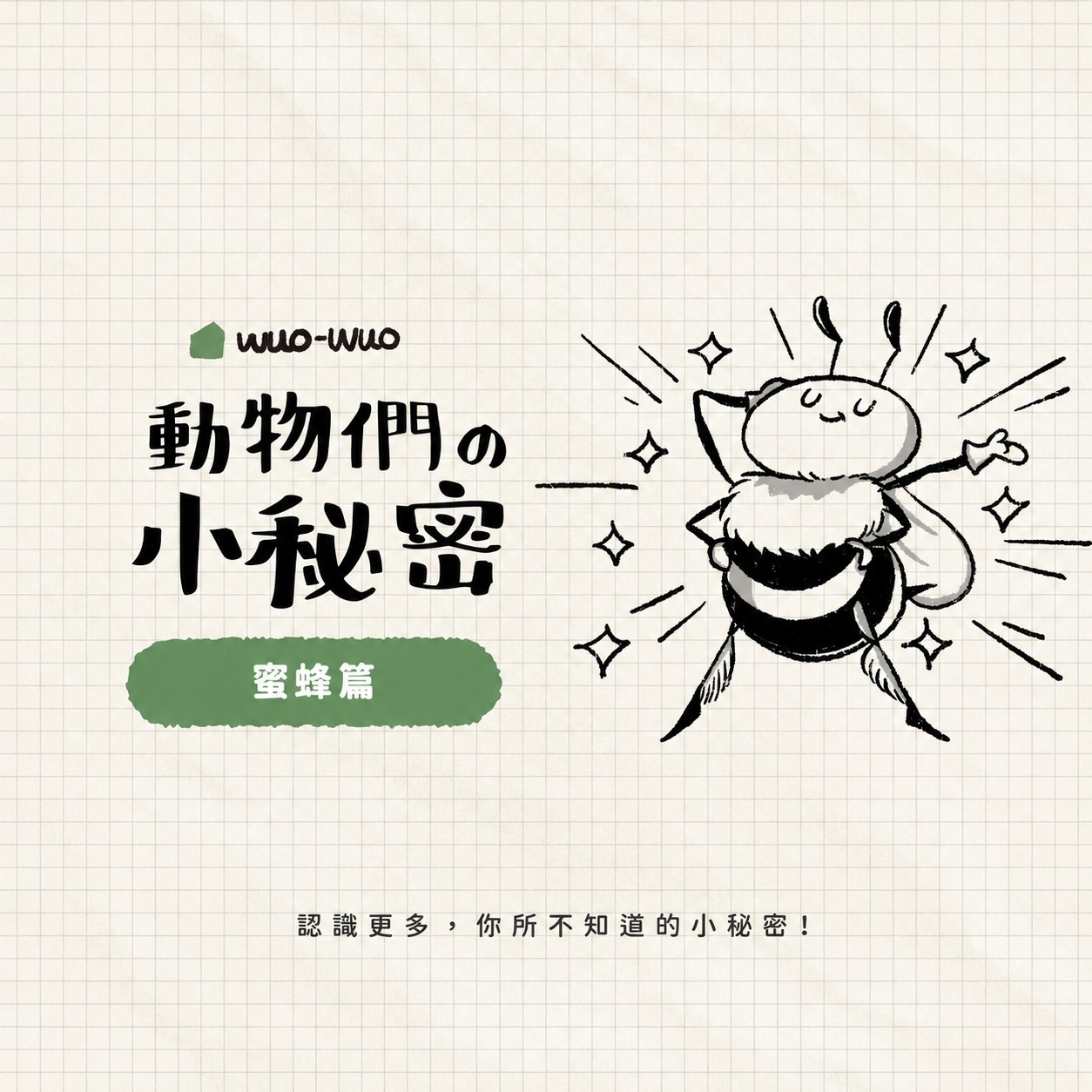 [閒聊] 世界蜜蜂日 來看點蜜蜂小知識