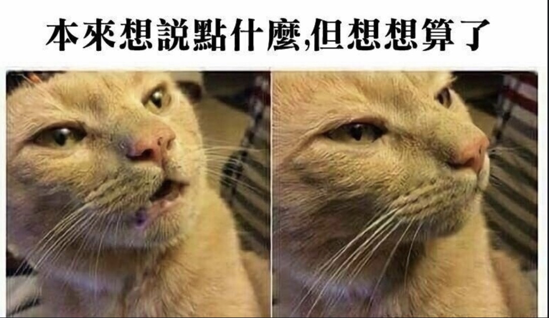 Re: [閒聊] 小羊脆上損失文 一堆人都先匯幾十萬？