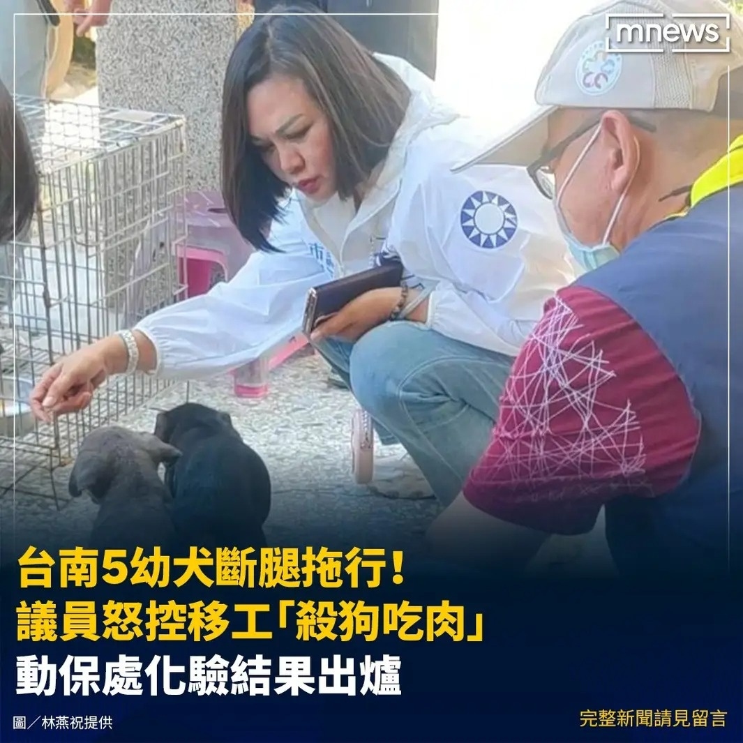 [猜謎] 逃逸外勞那麼多，要怎樣才能抓得完？