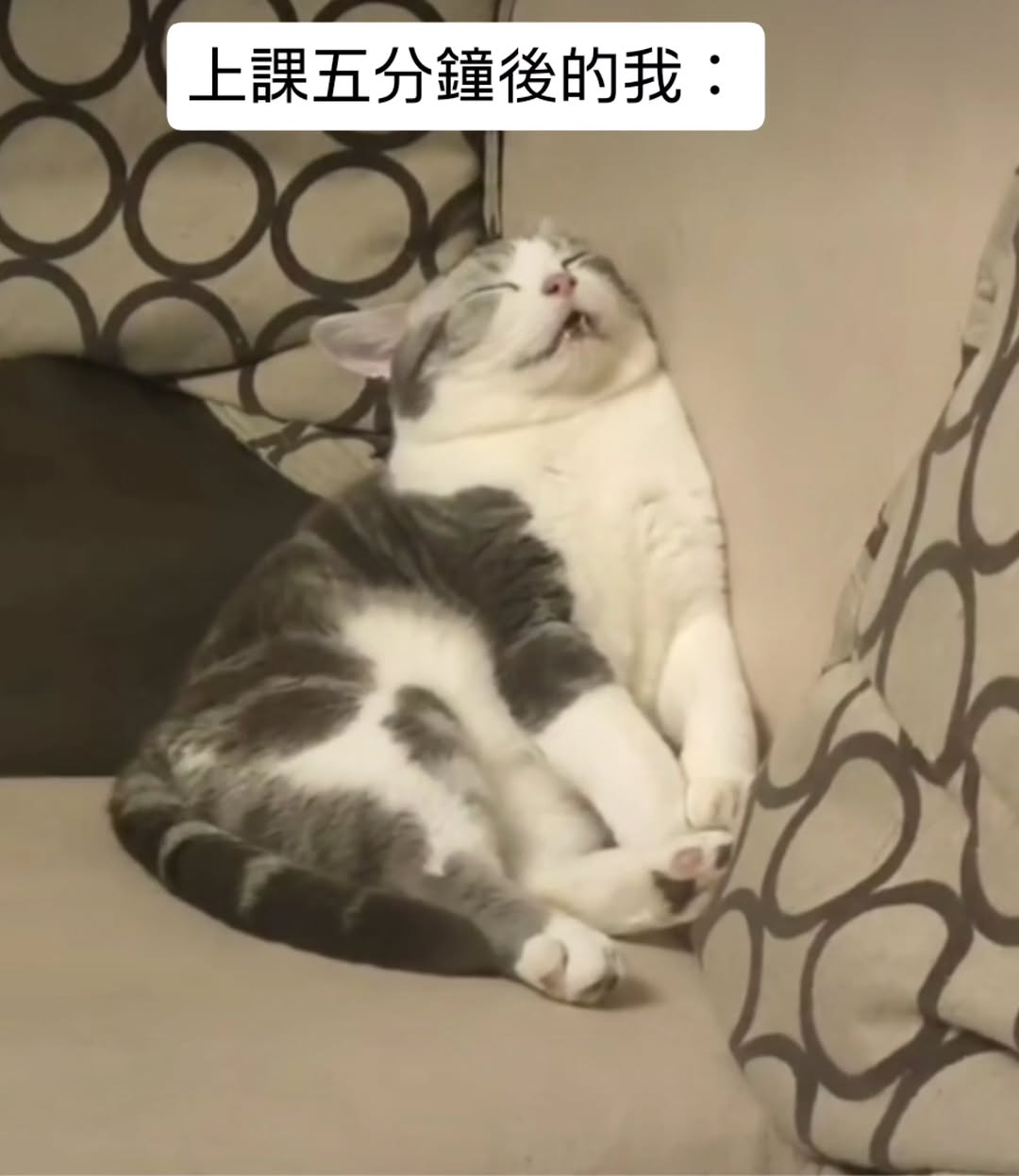 不，你沒有這麼可愛

#迷因 #台灣迷因 #梗圖