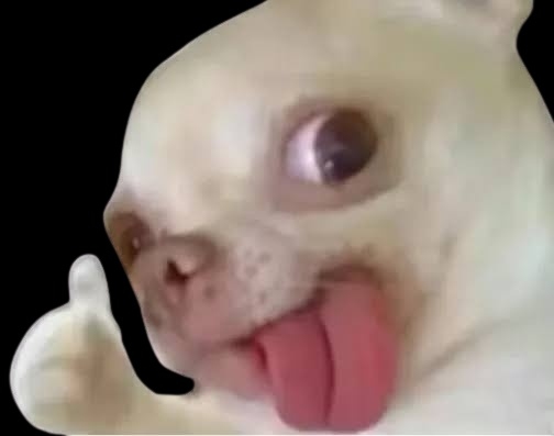 [閒聊] 妮姬聯動P系列能做幾期