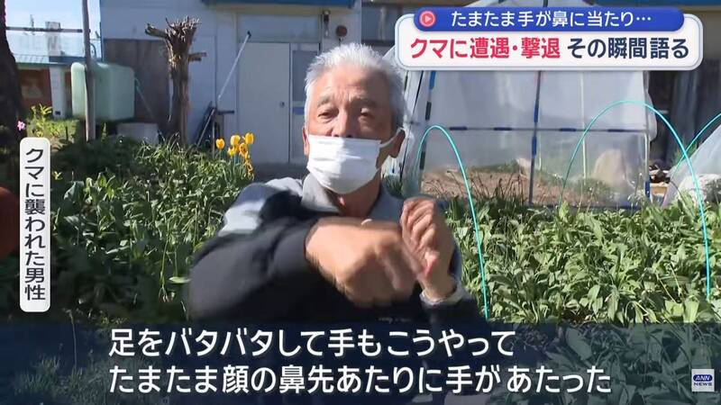 [閒聊] 北海道78歲老翁揮拳擊退1.5尺棕熊