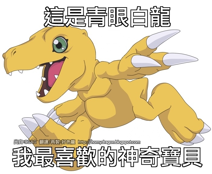 [閒聊] 這是青眼白龍 我最喜歡的神奇寶貝