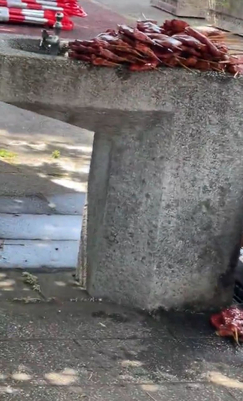 [閒聊] 夏日祭典攤位上的烤魷魚不敢吃