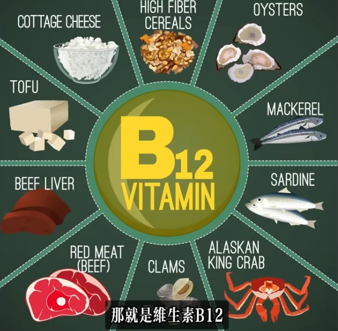 Re: [閒聊] 長期素食 會有什麼影響