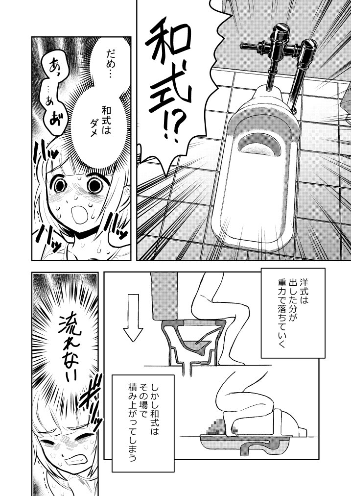 [閒聊] 蹲便馬桶