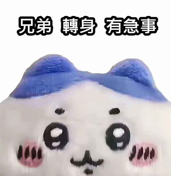 [閒聊] 有人記得吉伊卡哇一開始是兄弟哏圖紅的嗎