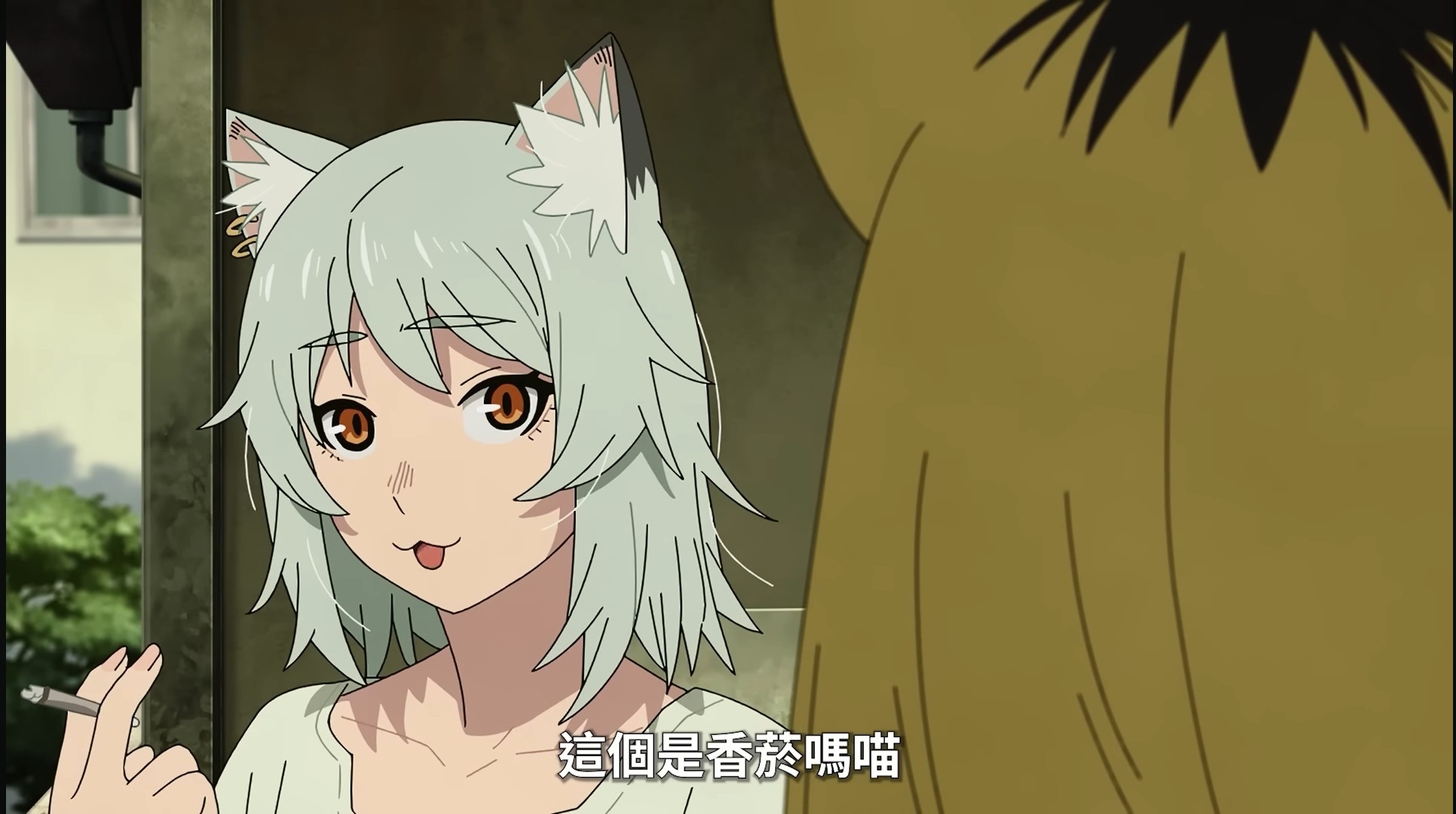[尼古] 所以後山的菸草是合法還非法？