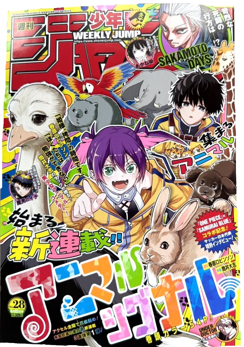 [順位] 週刊少年JUMP 2026年28號 新連載1/OP鉢休