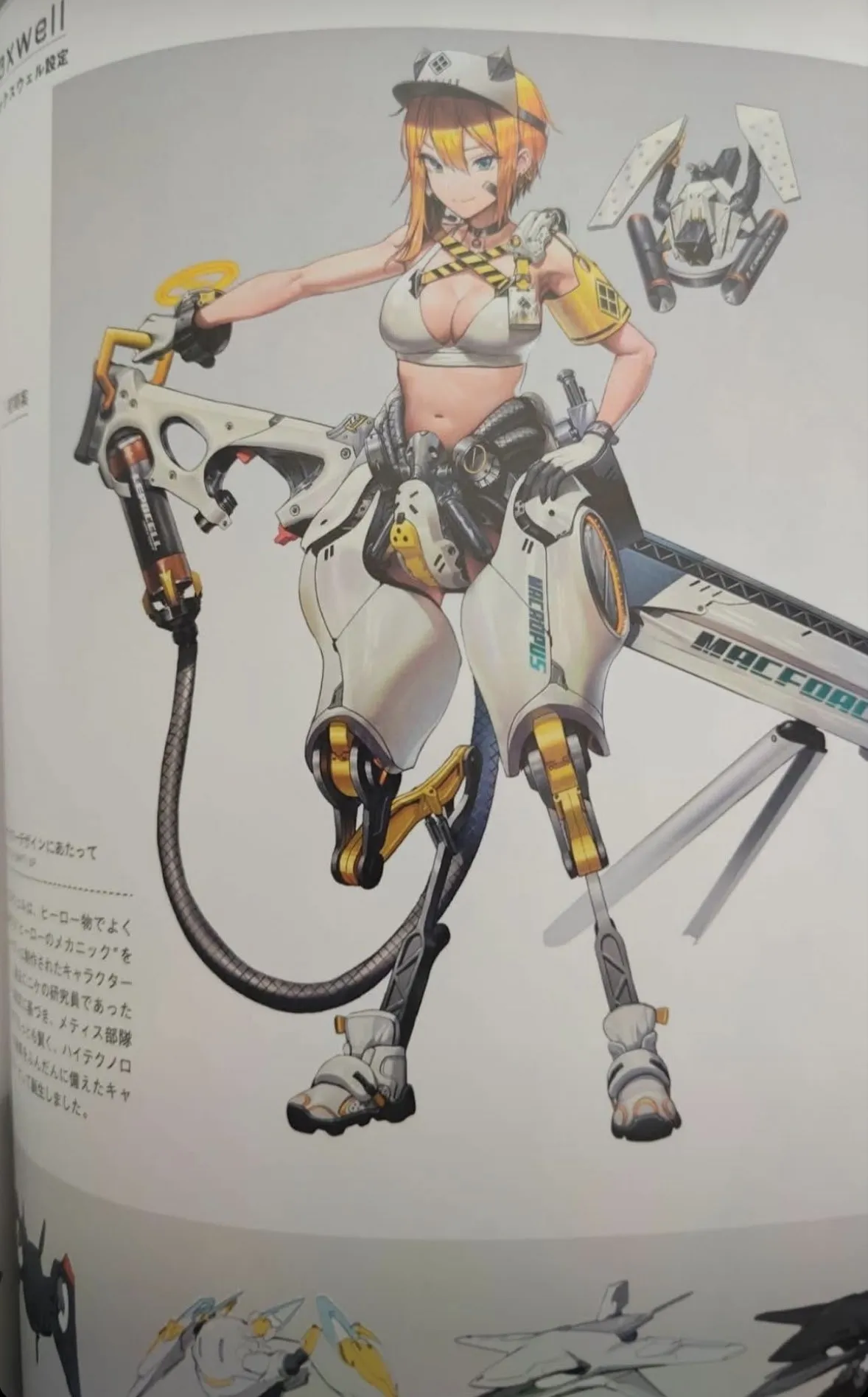 Re: [妮姬] （有劇情雷）麥斯威爾原本的概