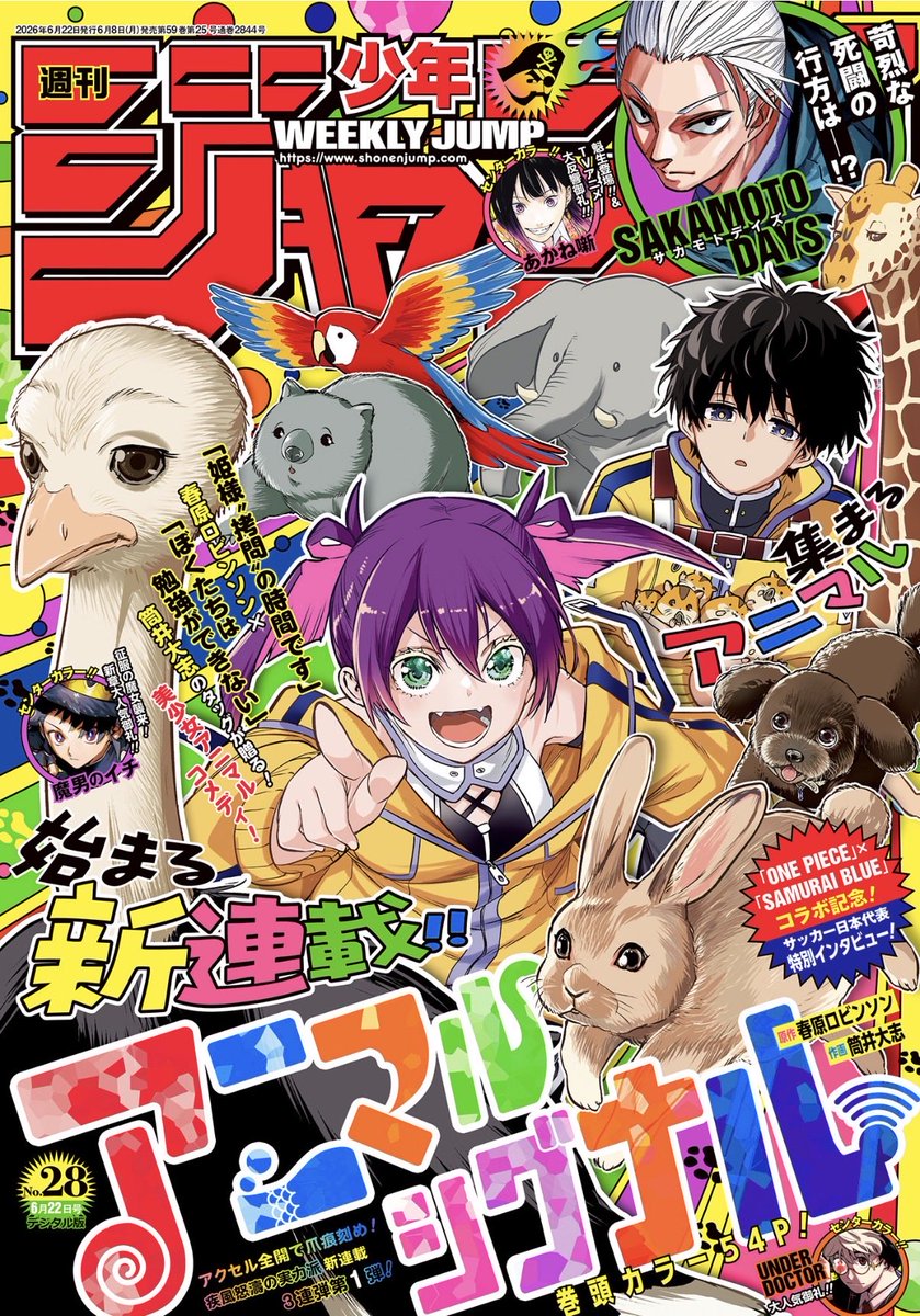[JUMP] 新連載 動物信號(アニマルシグナル)
