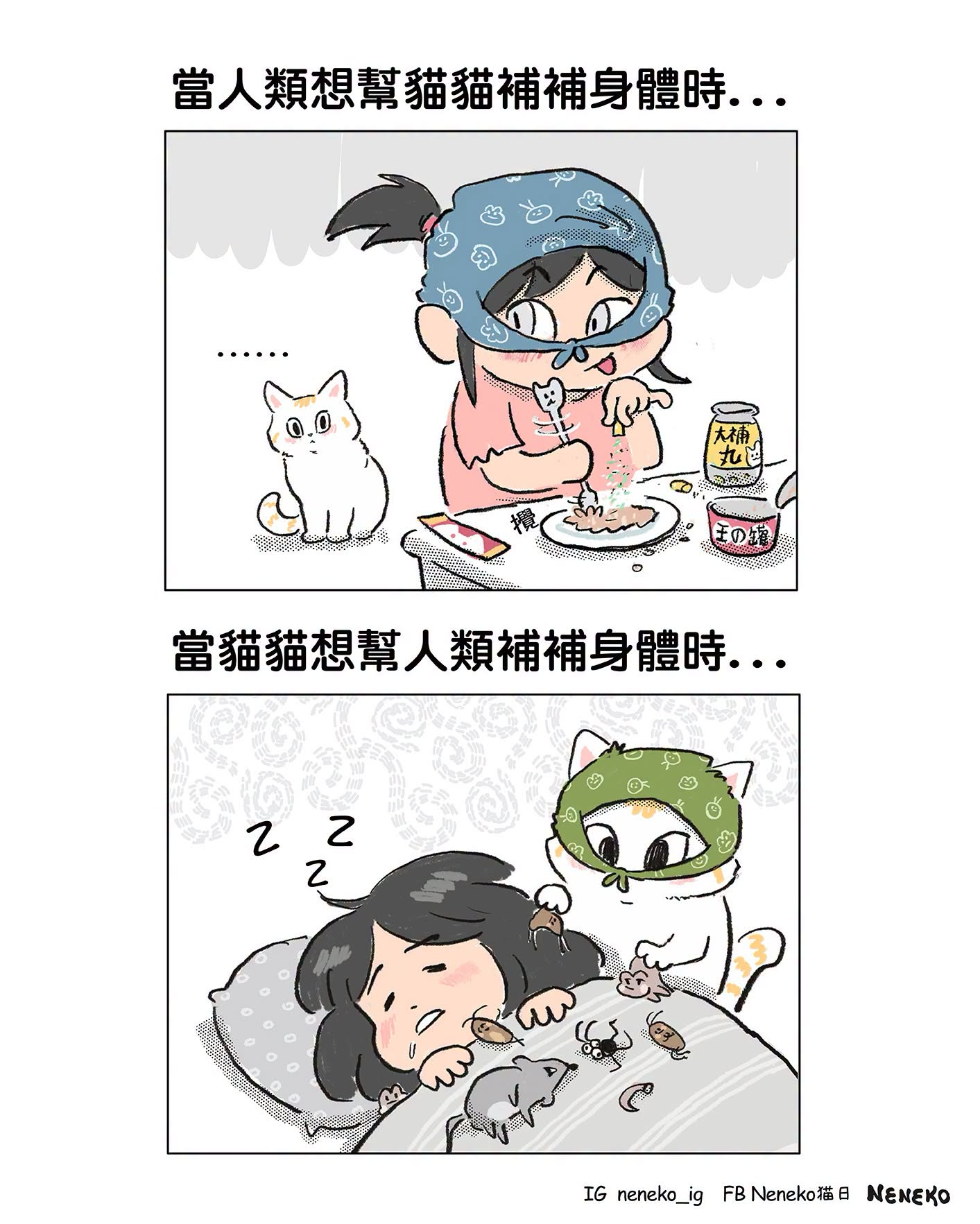 [閒聊] 貓貓 補身體