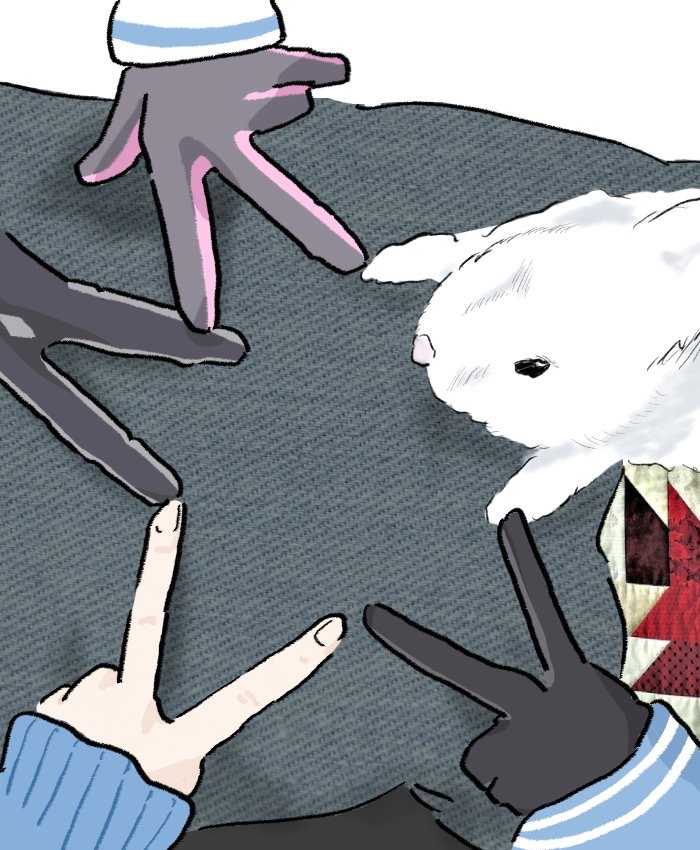 [檔案] 為什麼fox隊都是真fox兔子隊卻都是假兔子